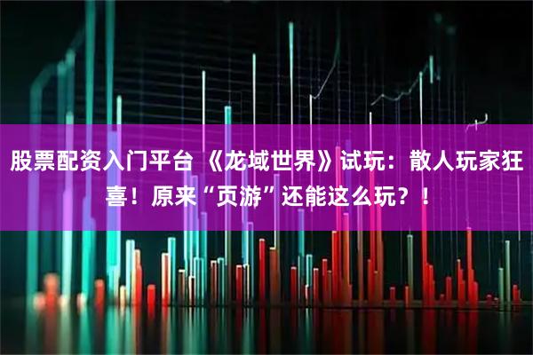 股票配资入门平台 《龙域世界》试玩：散人玩家狂喜！原来“页游”还能这么玩？！